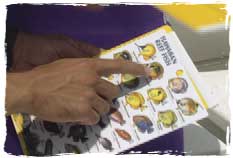 AWARE - Fish Identification Diver program